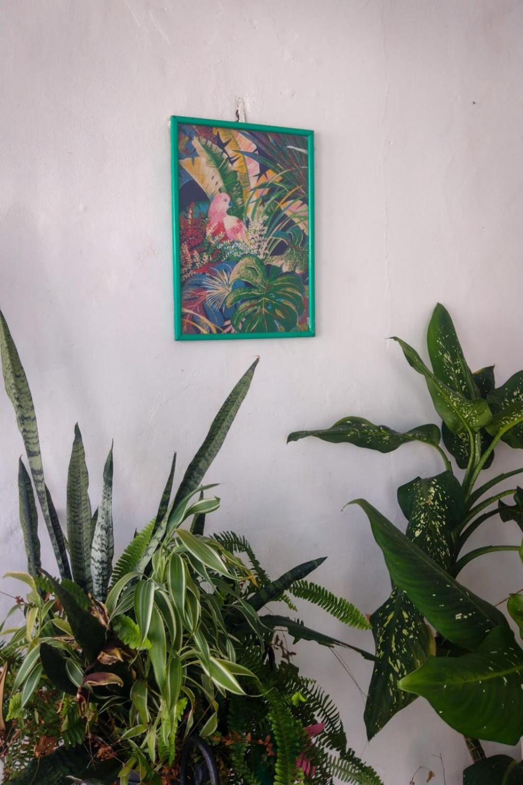 Hostel Residence Girassol 벨렘 외부 사진